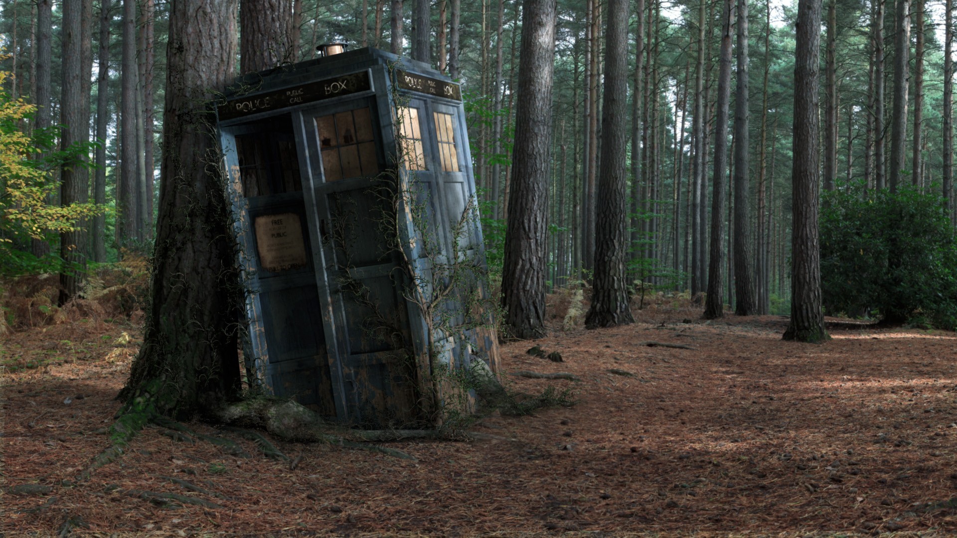 abandoned, Tardis, Doctor, Who, Trees, Forest, Phone, Booth Wallpaper