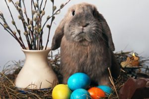conejo, Huevos, Pascua