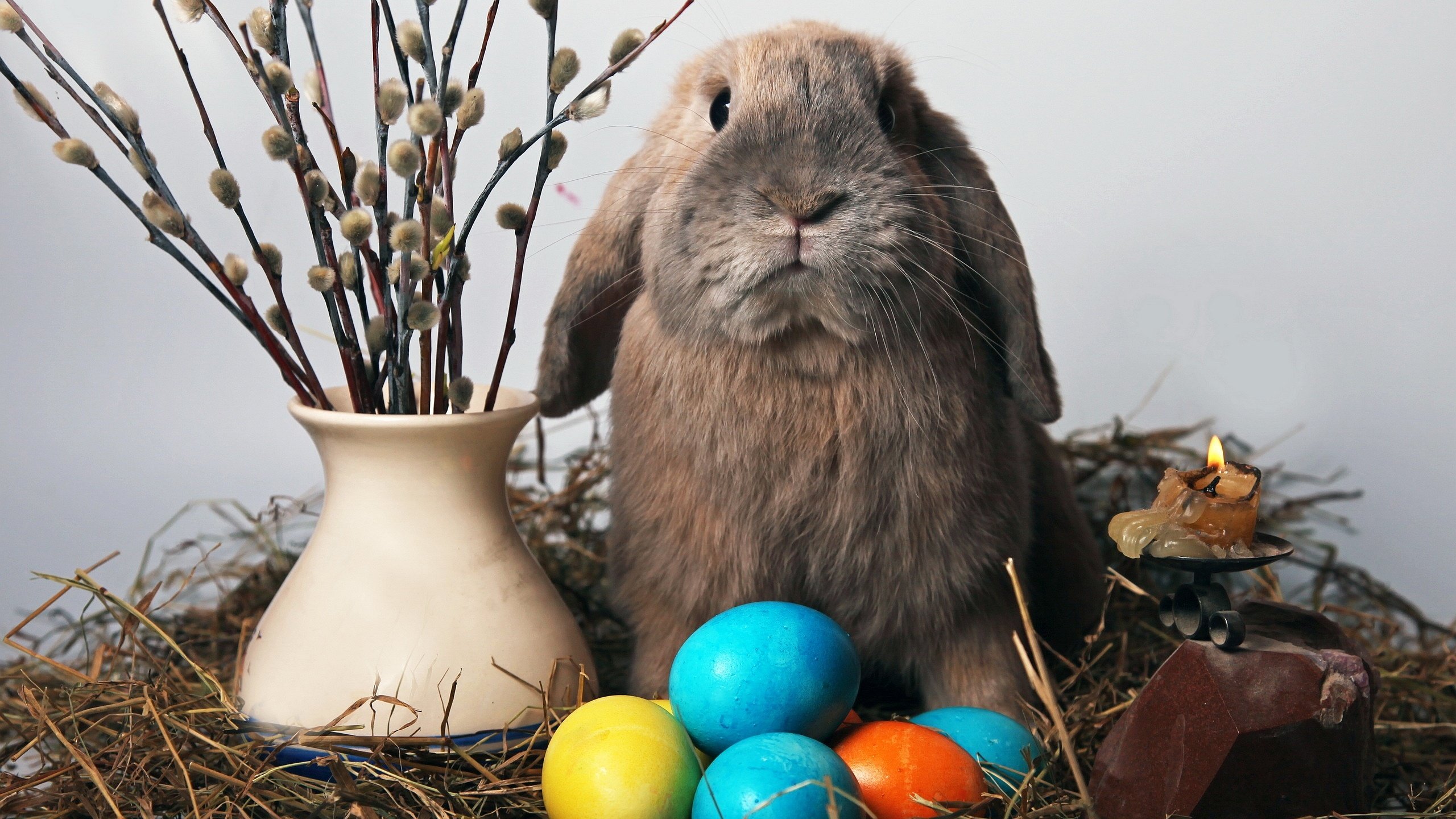 conejo, Huevos, Pascua Wallpaper