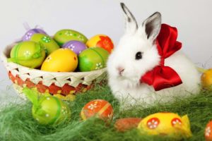 conejo, Huevos, Pascua, Lazo, Rojo