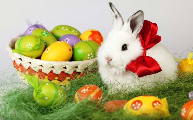 conejo, Huevos, Pascua, Lazo, Rojo HD Wallpaper Desktop Background