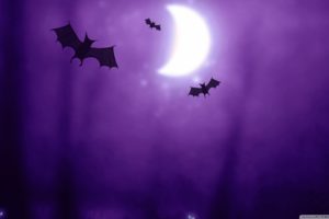 night, Halloween, Moon, Purple, Silhouette, Drawings, Bats