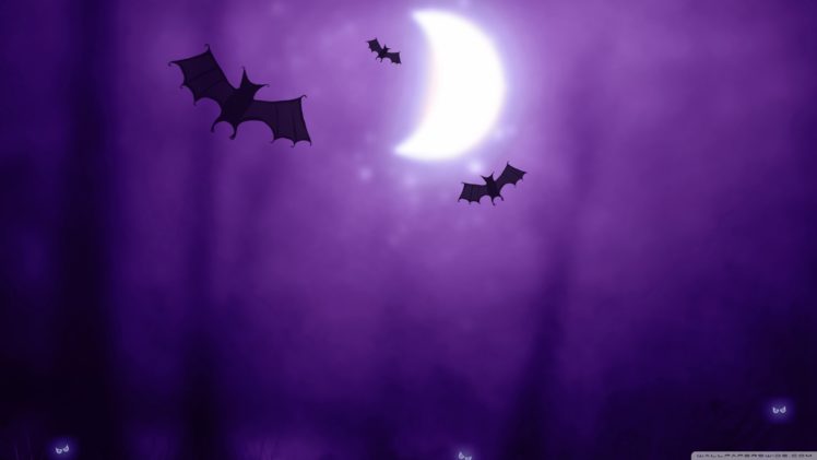 night, Halloween, Moon, Purple, Silhouette, Drawings, Bats HD Wallpaper Desktop Background
