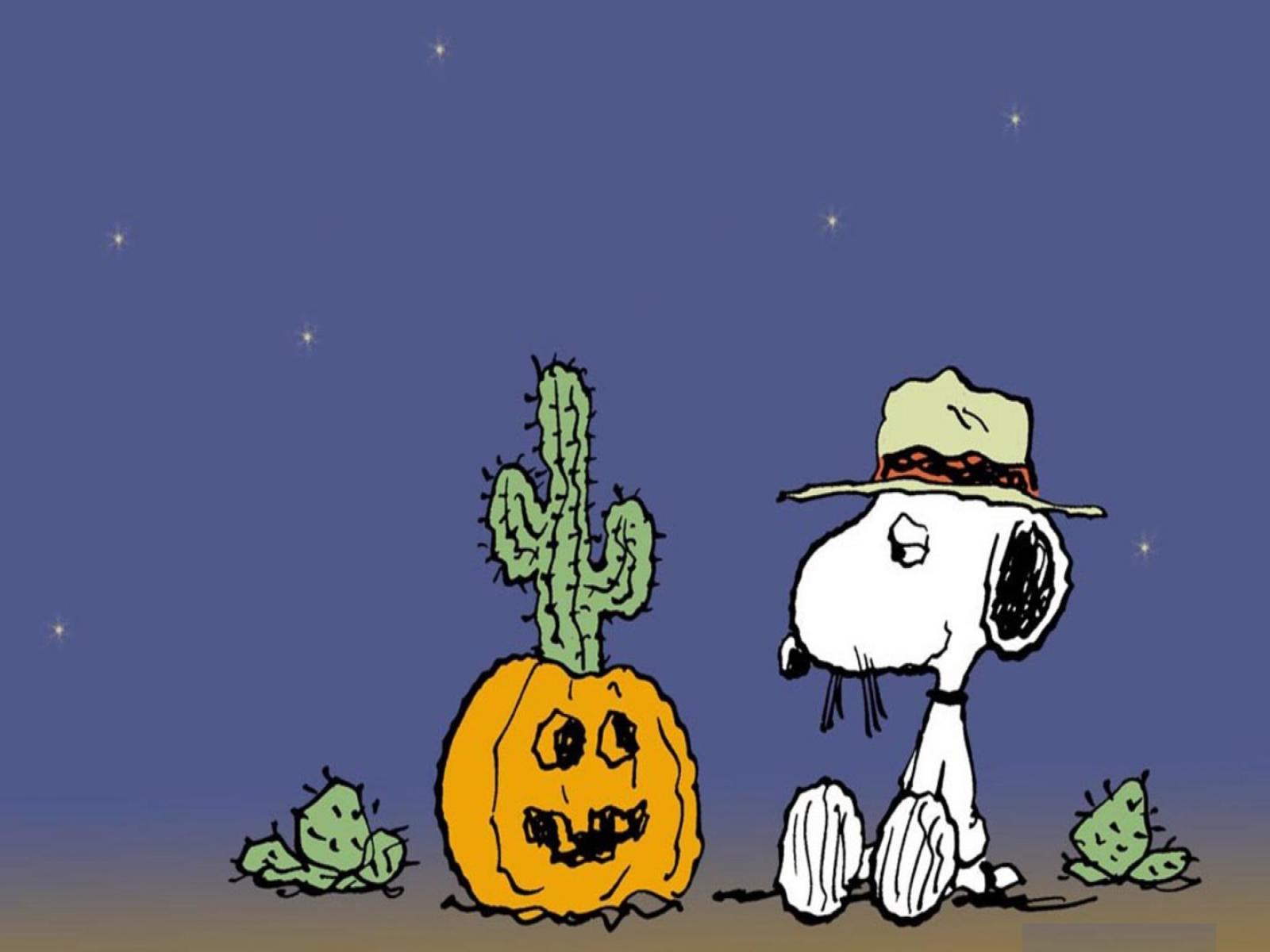 charlie, Brown, Peanuts, Comics, Halloween, Snoopy Wallpaper