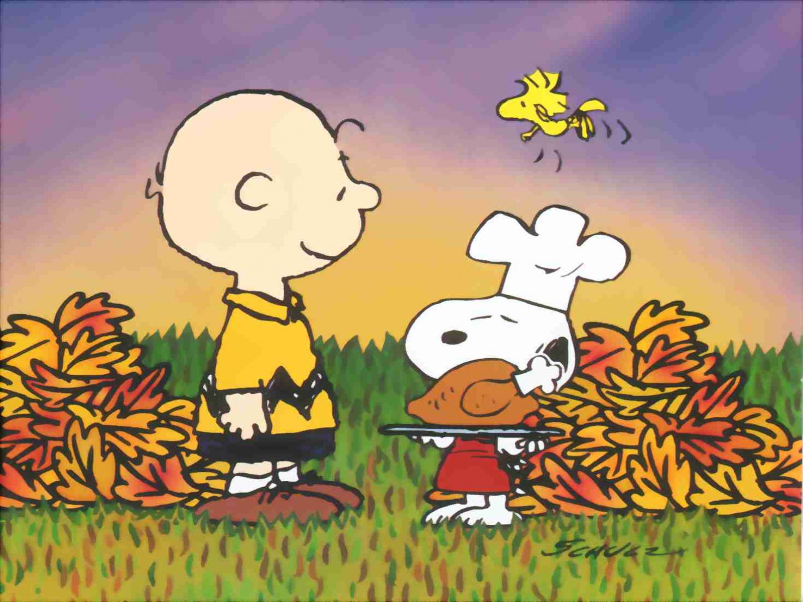 charlie, Brown, Peanuts, Comics, Thanksgiving Wallpaper