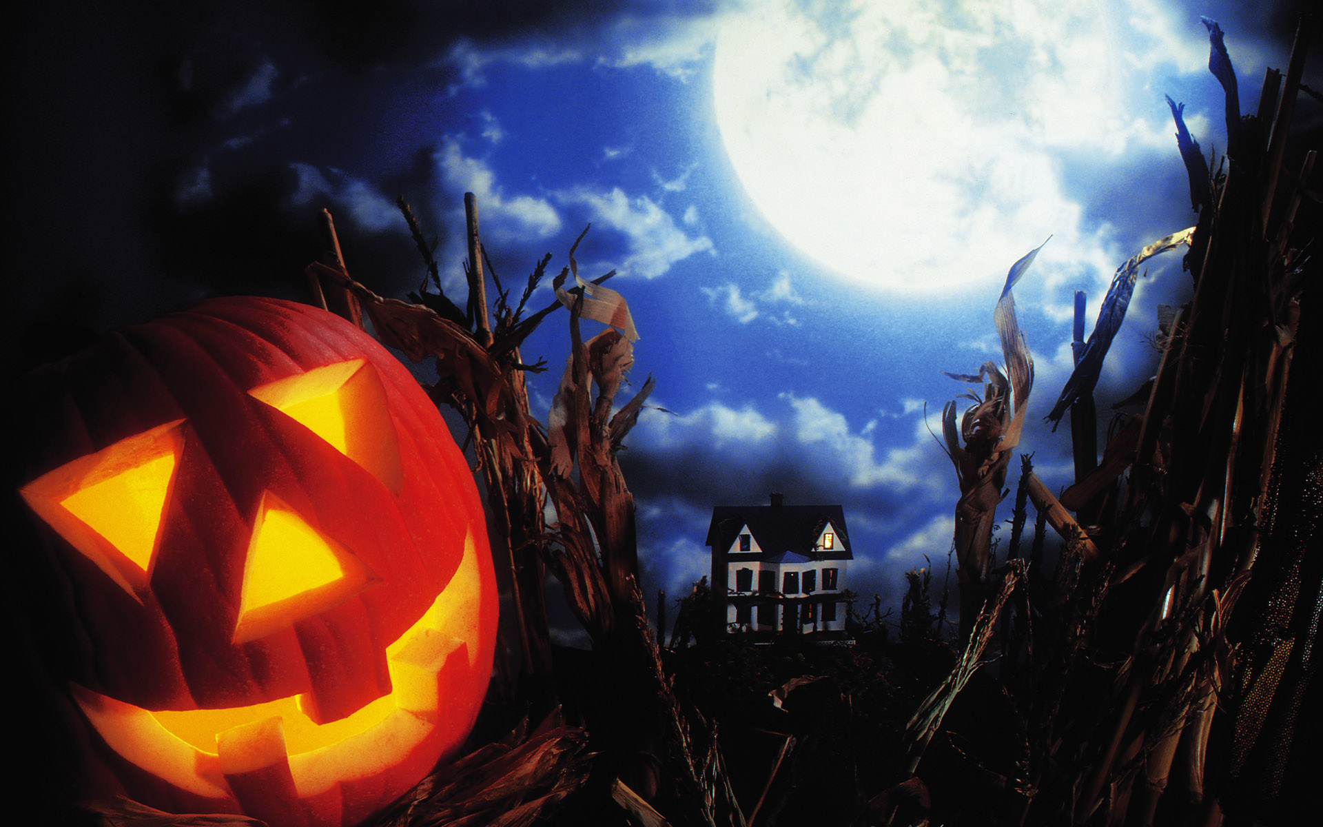 halloween, Rb Wallpaper