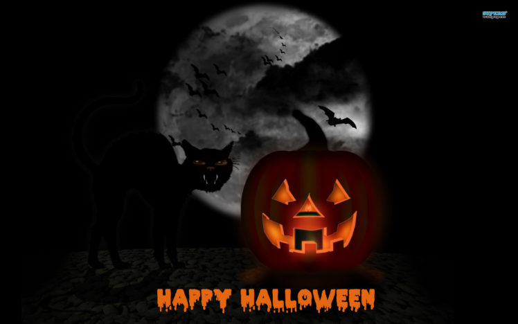 halloween, Nc HD Wallpaper Desktop Background