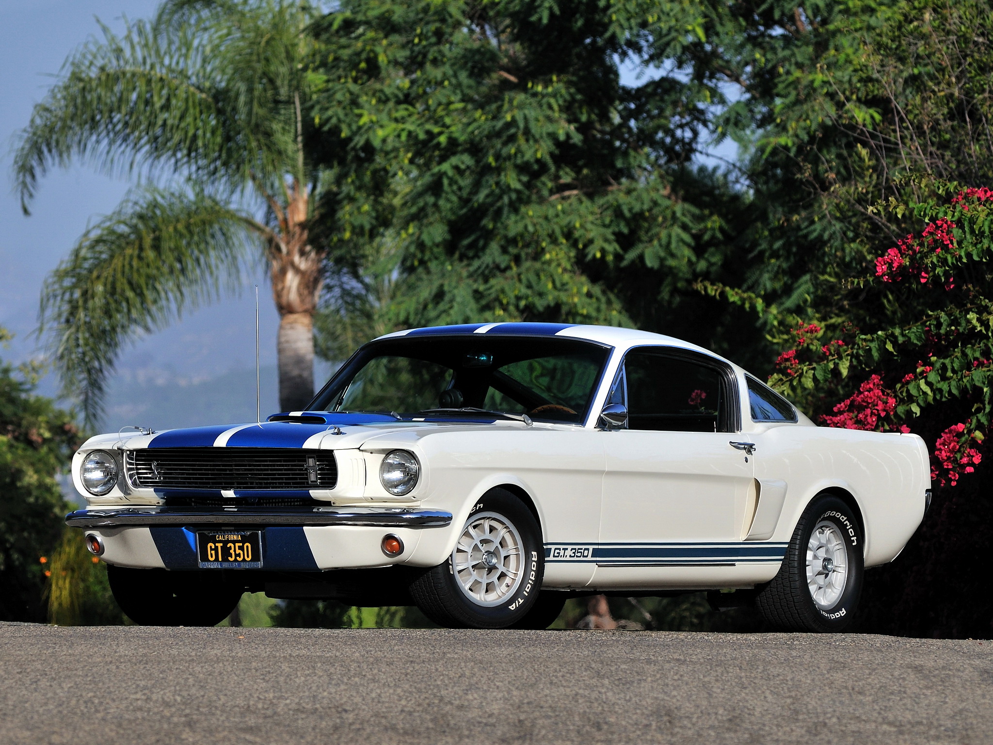 1966, Shelby, Gt350, Ford, Mustang, Classic, Mustang, Muscle Wallpaper