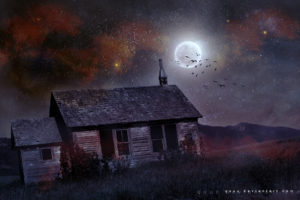 house, Moon, Night, Stars, Birds, Halloween, Dark