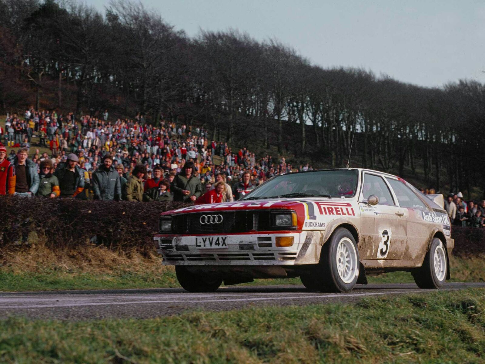 1981, Audi, Quattro, Group 4, Rally, Car,  typ 85 , Race, Racing Wallpaper
