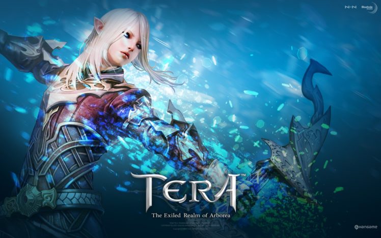 archers, Tera, Mmorpg, High, Elf HD Wallpaper Desktop Background