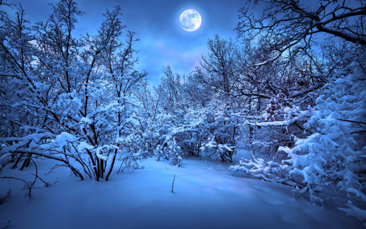 merry, Christmas, New, Year, Magic, Winter, Snow HD Wallpaper Desktop Background