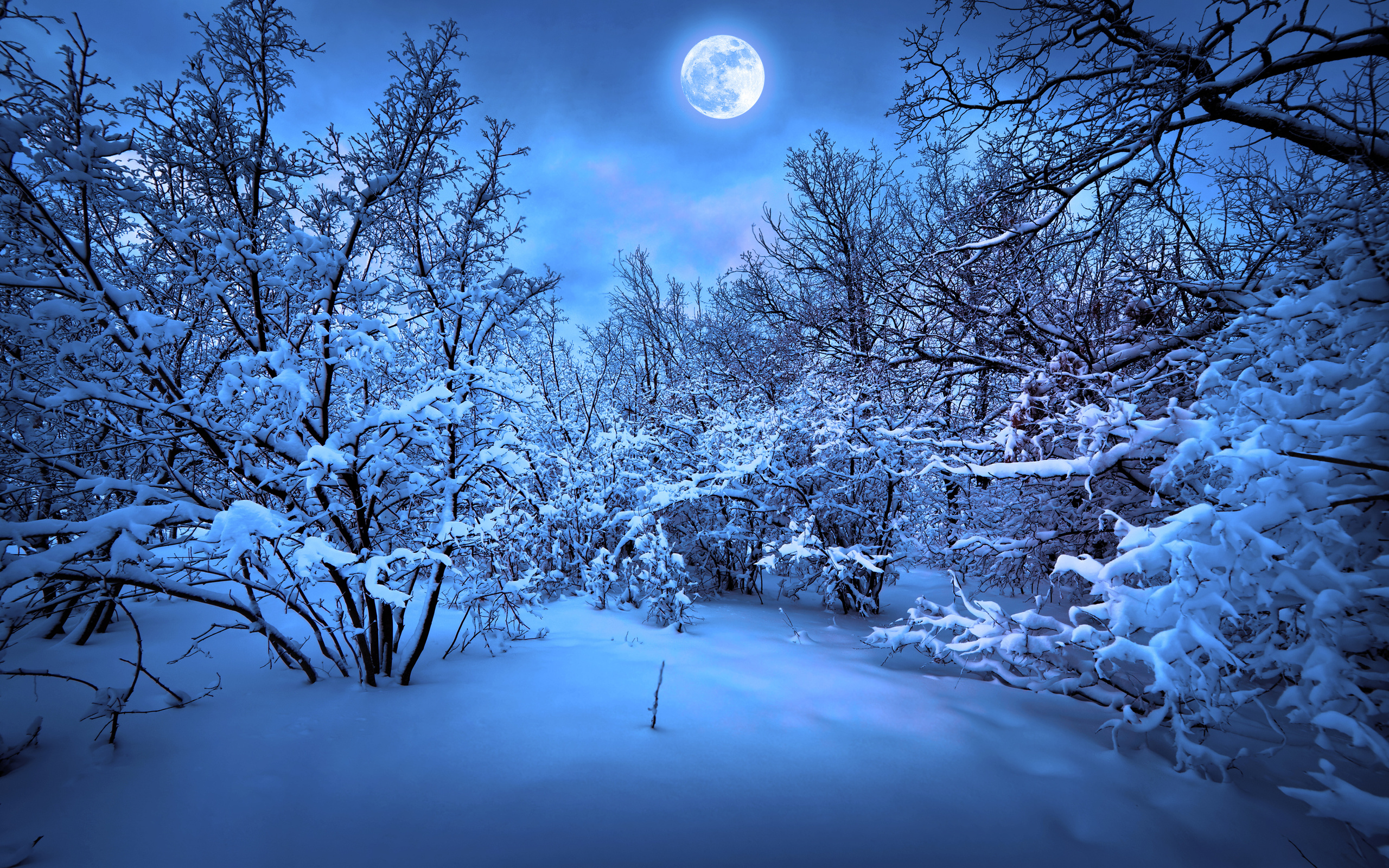 merry, Christmas, New, Year, Magic, Winter, Snow Wallpaper