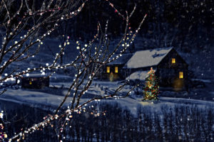 night, Christmas, Tree, New, Year, Winter, Bokeh
