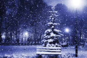 new, Year, Christmas, Tree, Winter, Snow, Snowflake, Flakes