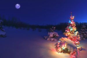 winter, Night, Moon, Christmas, Tree, Garlands, Nature