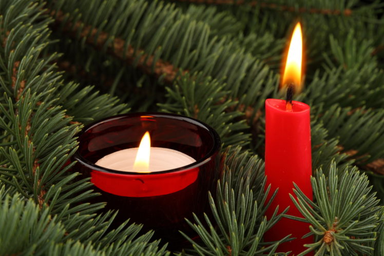 candles, Closeup, Christmas, Tree, Branches HD Wallpaper Desktop Background