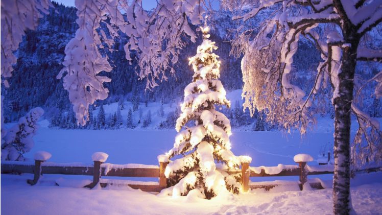winter, Snow, Christmas, Trees HD Wallpaper Desktop Background