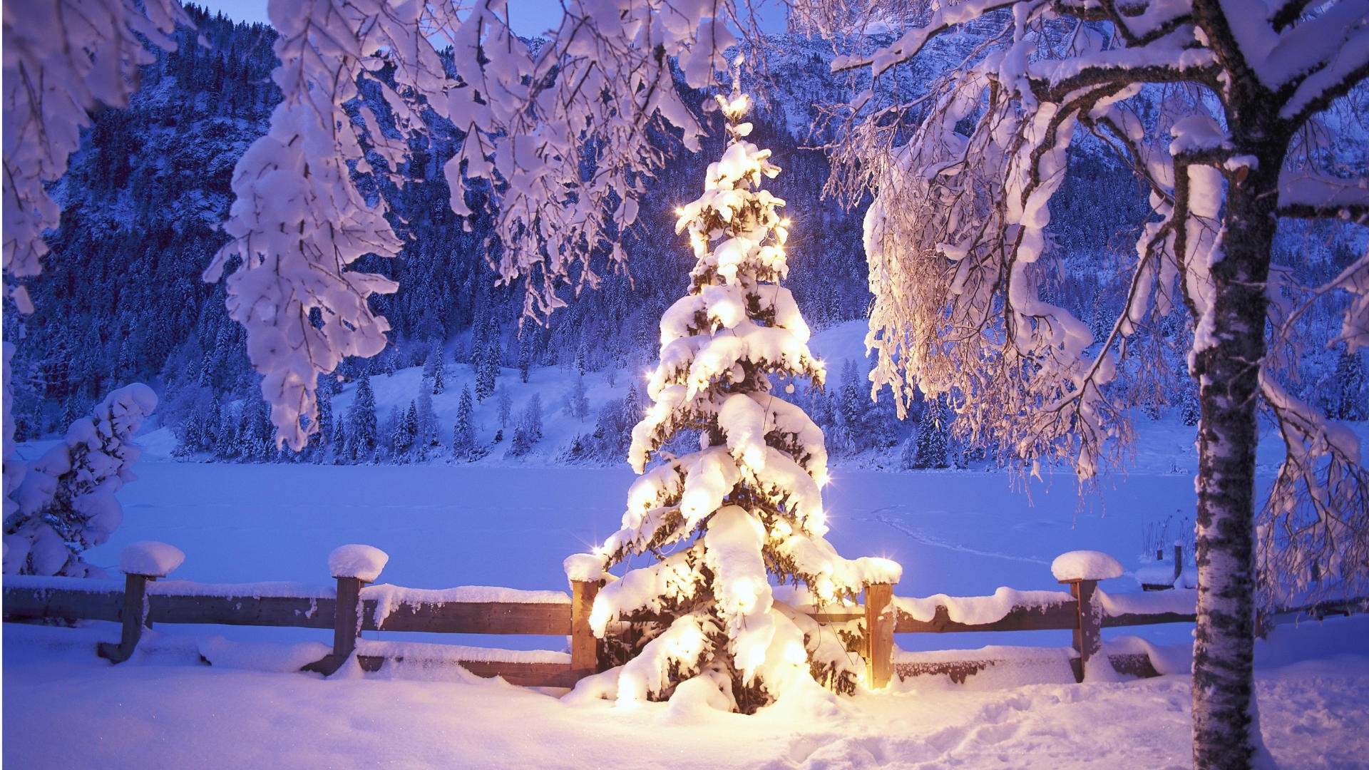 winter, Snow, Christmas, Trees Wallpaper