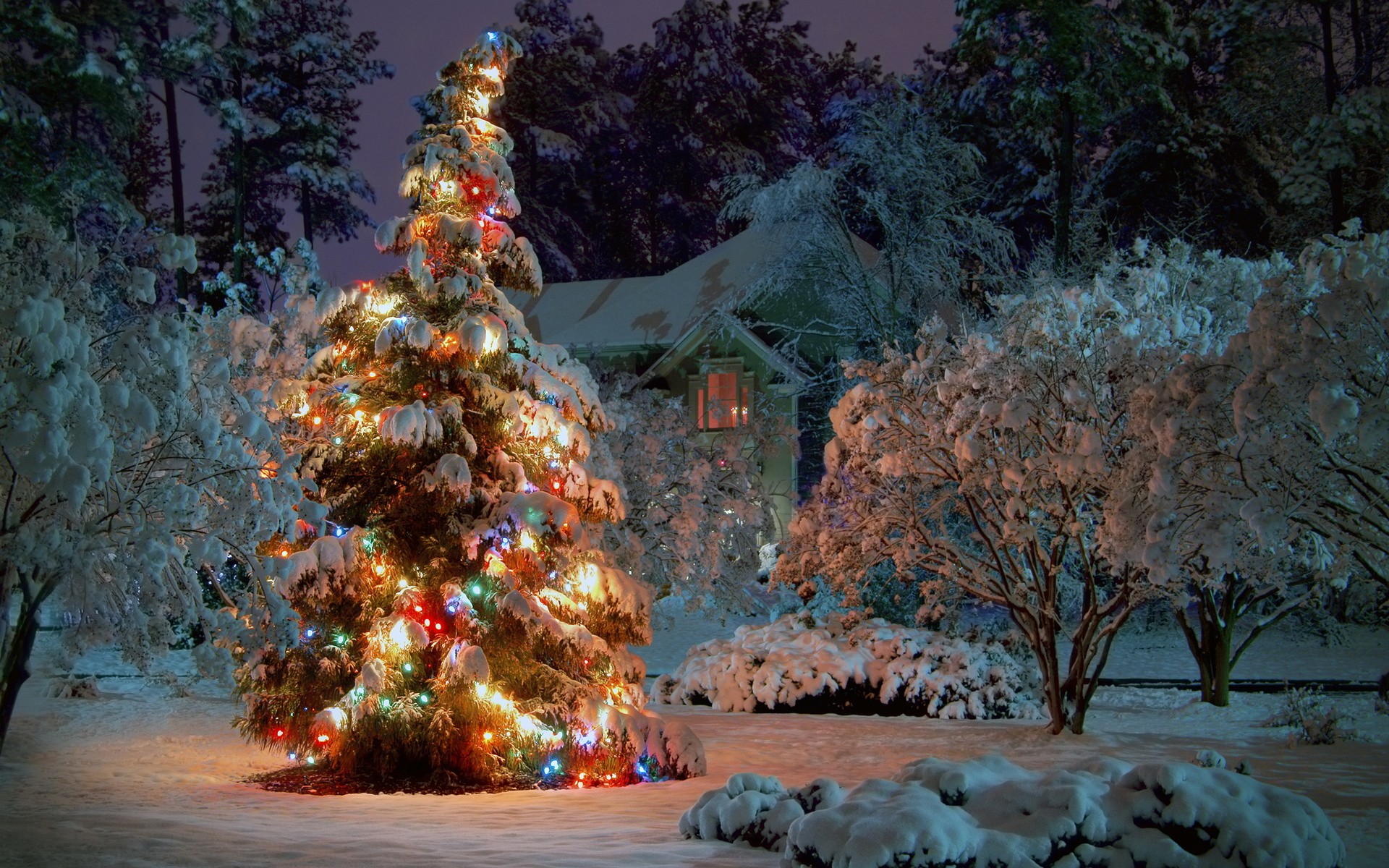 new, Year Wallpaper