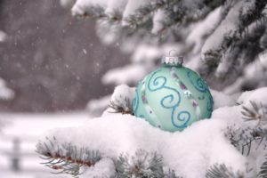 christmas, Branch, Christmas, Snow