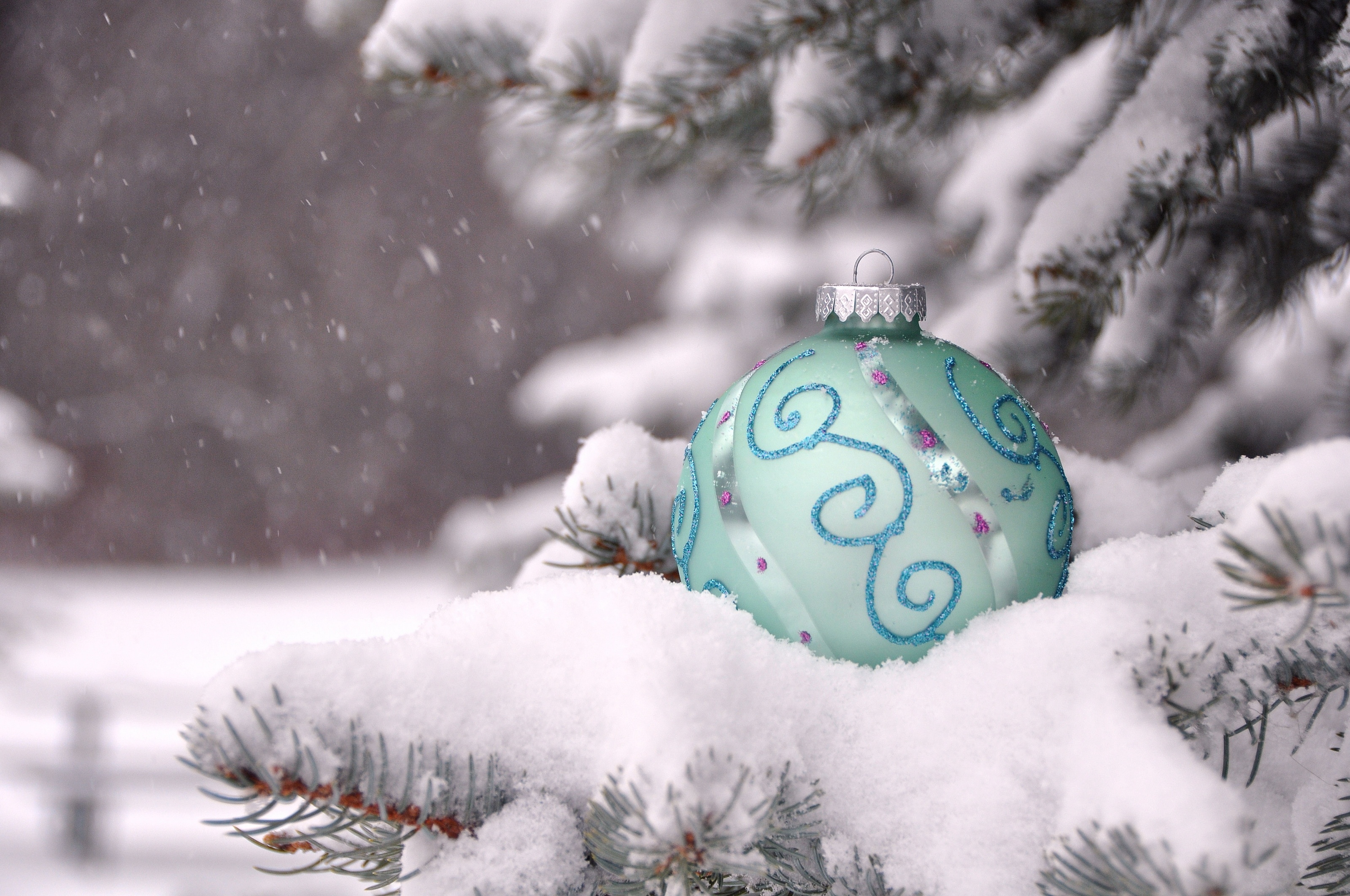 christmas, Branch, Christmas, Snow Wallpaper