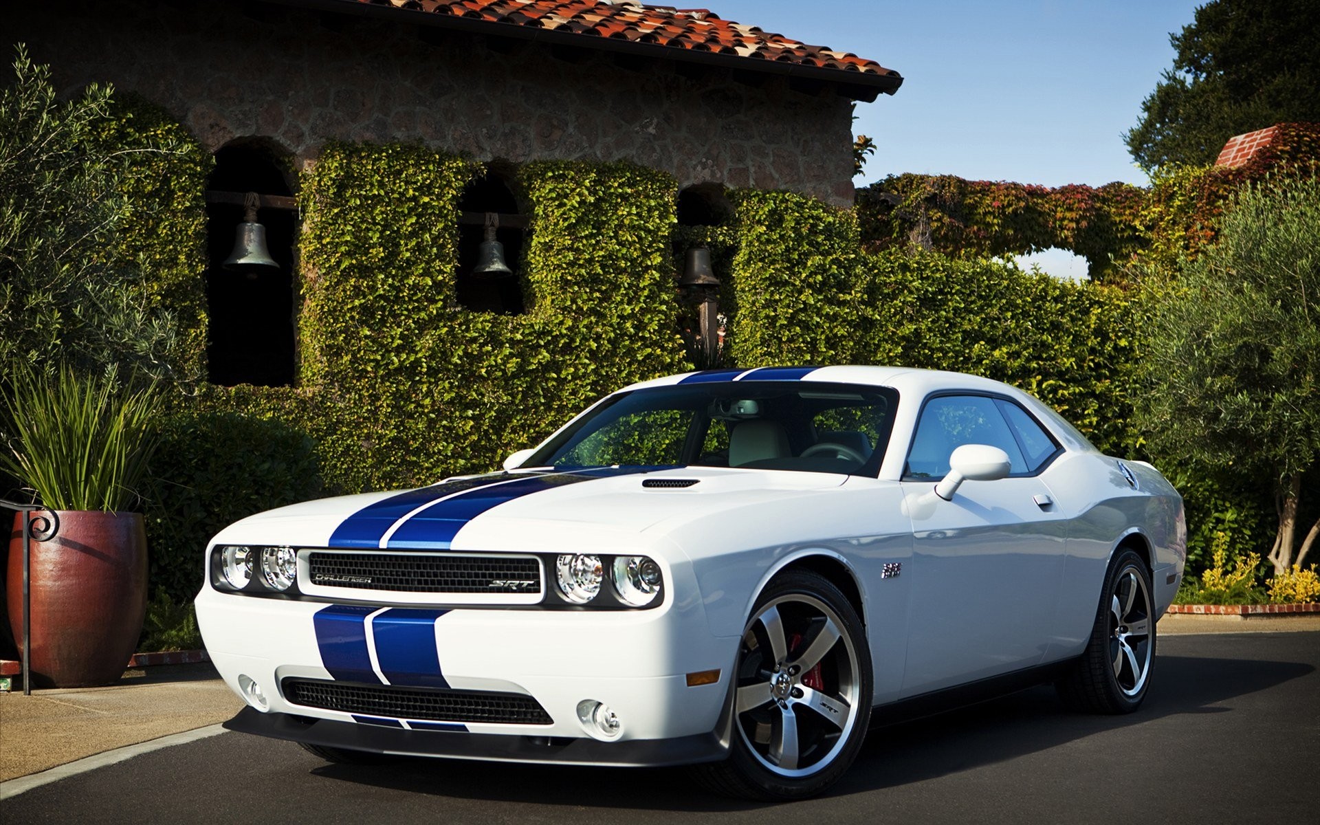 white, Cars, Dodge, Challenger, Racing, Stripes, Muscle, Car Wallpaper