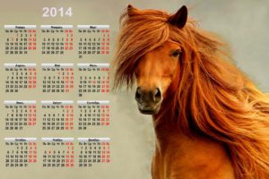 holiday, New, Year, Calendar, Symbol, 2014, Horse