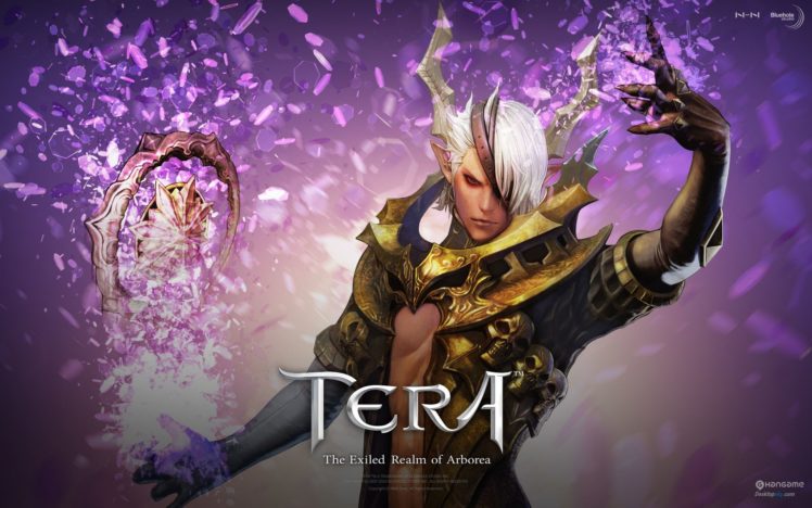 tera, Online, Fantasy, Adventure, Game,  53 HD Wallpaper Desktop Background
