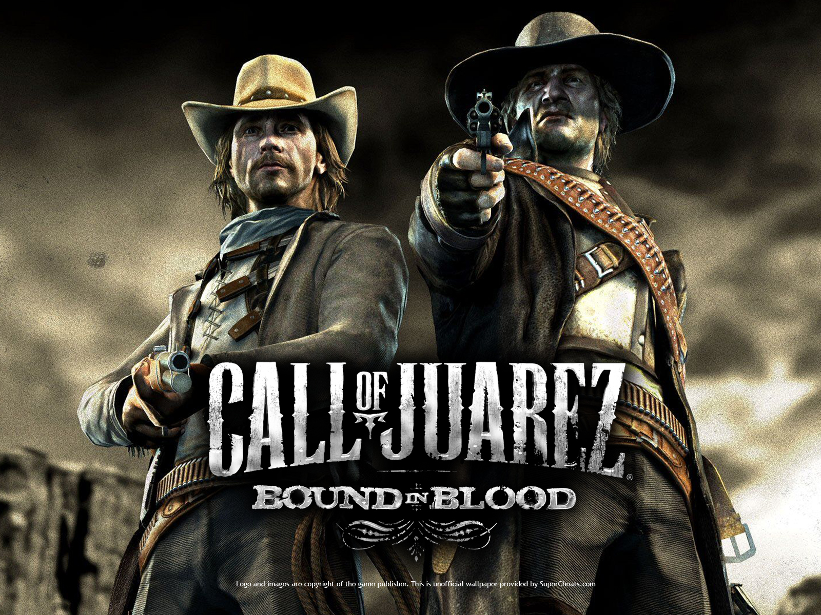 Call of juarez bound in blood стим фото 4