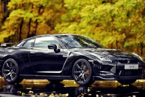 nature, Trees, Cars, Nissan, Nissan, R35, Gt r, Nissan, Skyline, R35, Gt r, Nissan, Gtr, Nissan, Gtr35