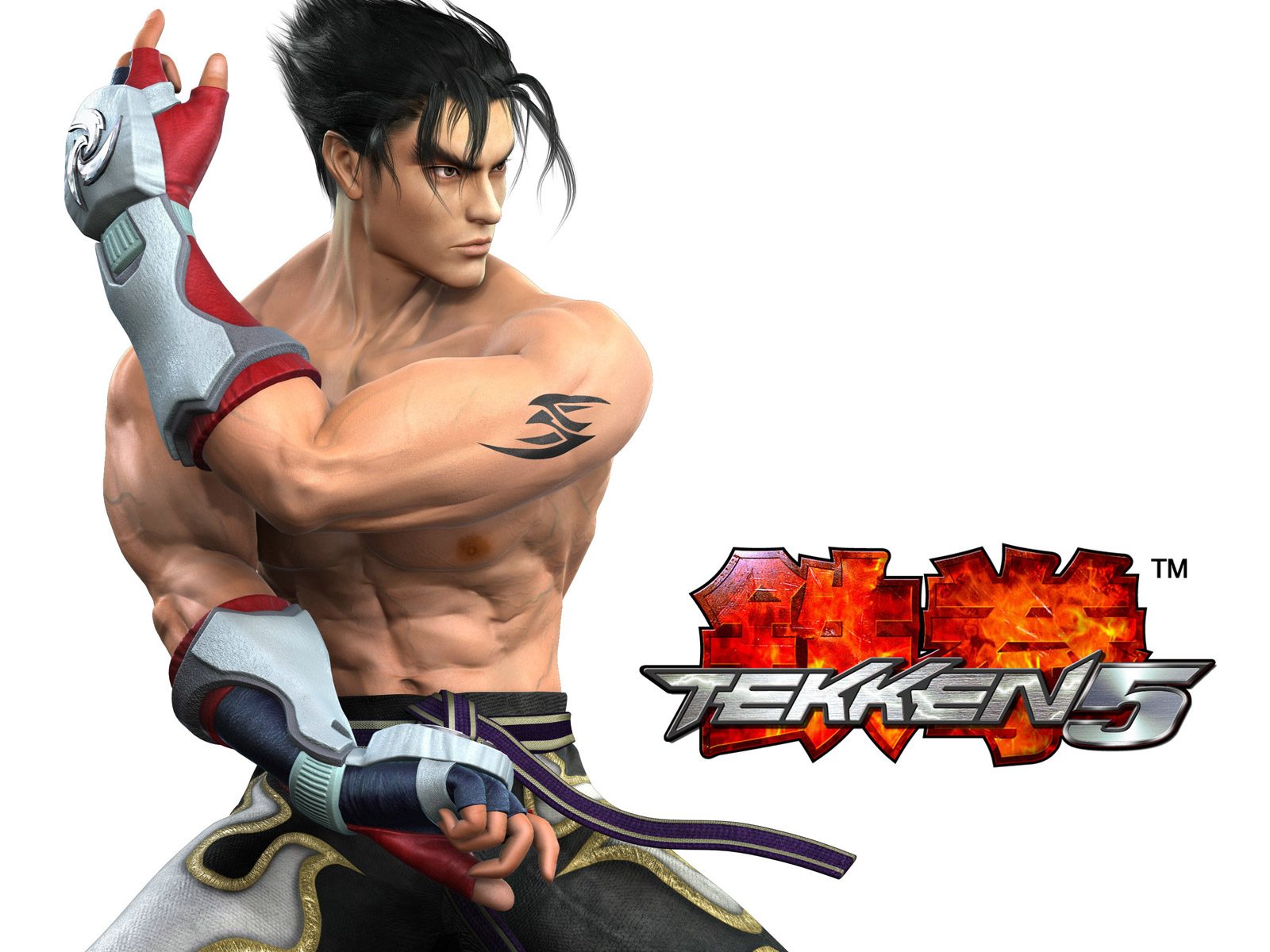 tekken, Warrior, Poster Wallpaper