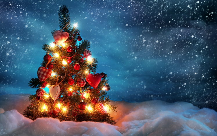 holidays, Christmas, Christmas trees HD Wallpaper Desktop Background