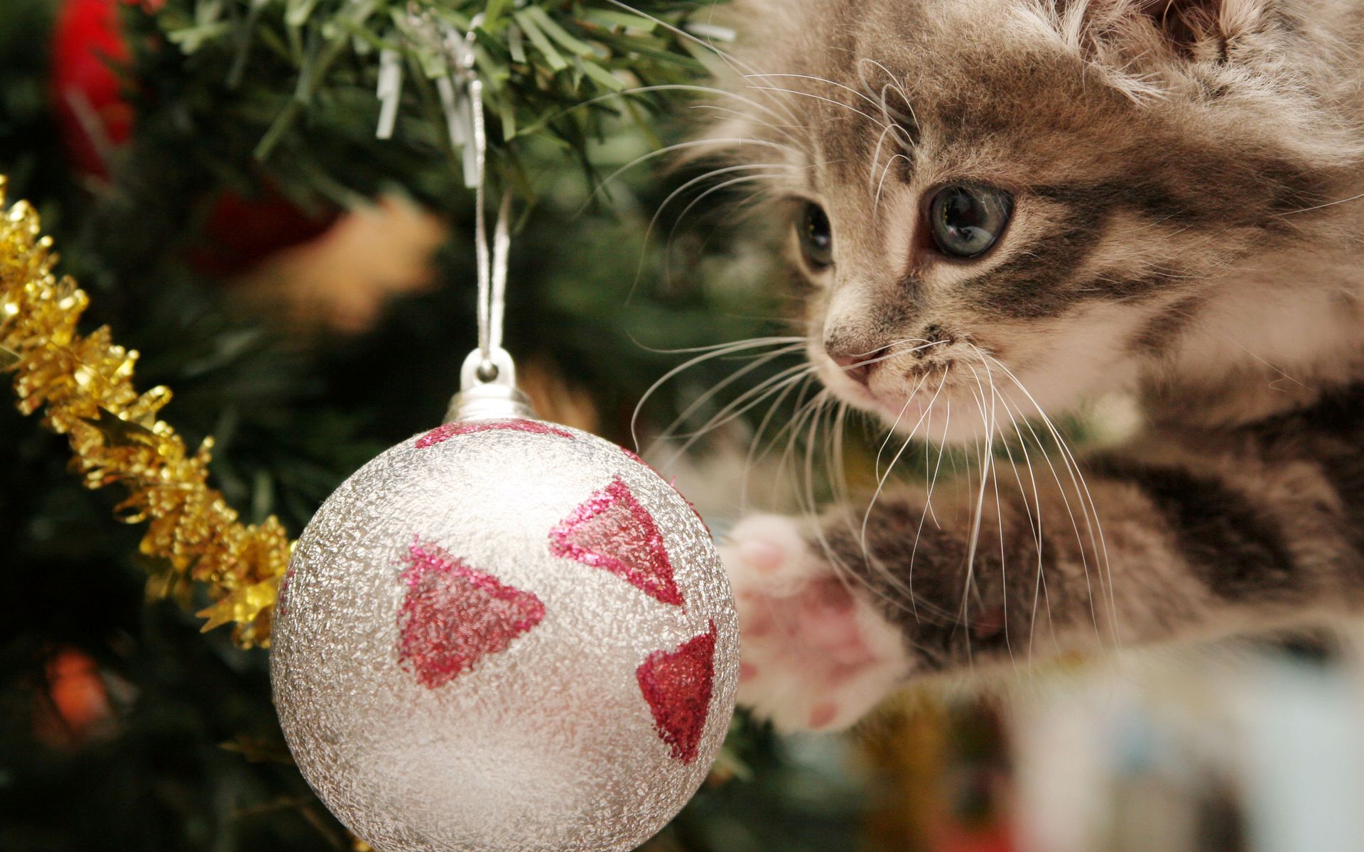 holidays, Christmas, Seasonal, Festive Wallpaper