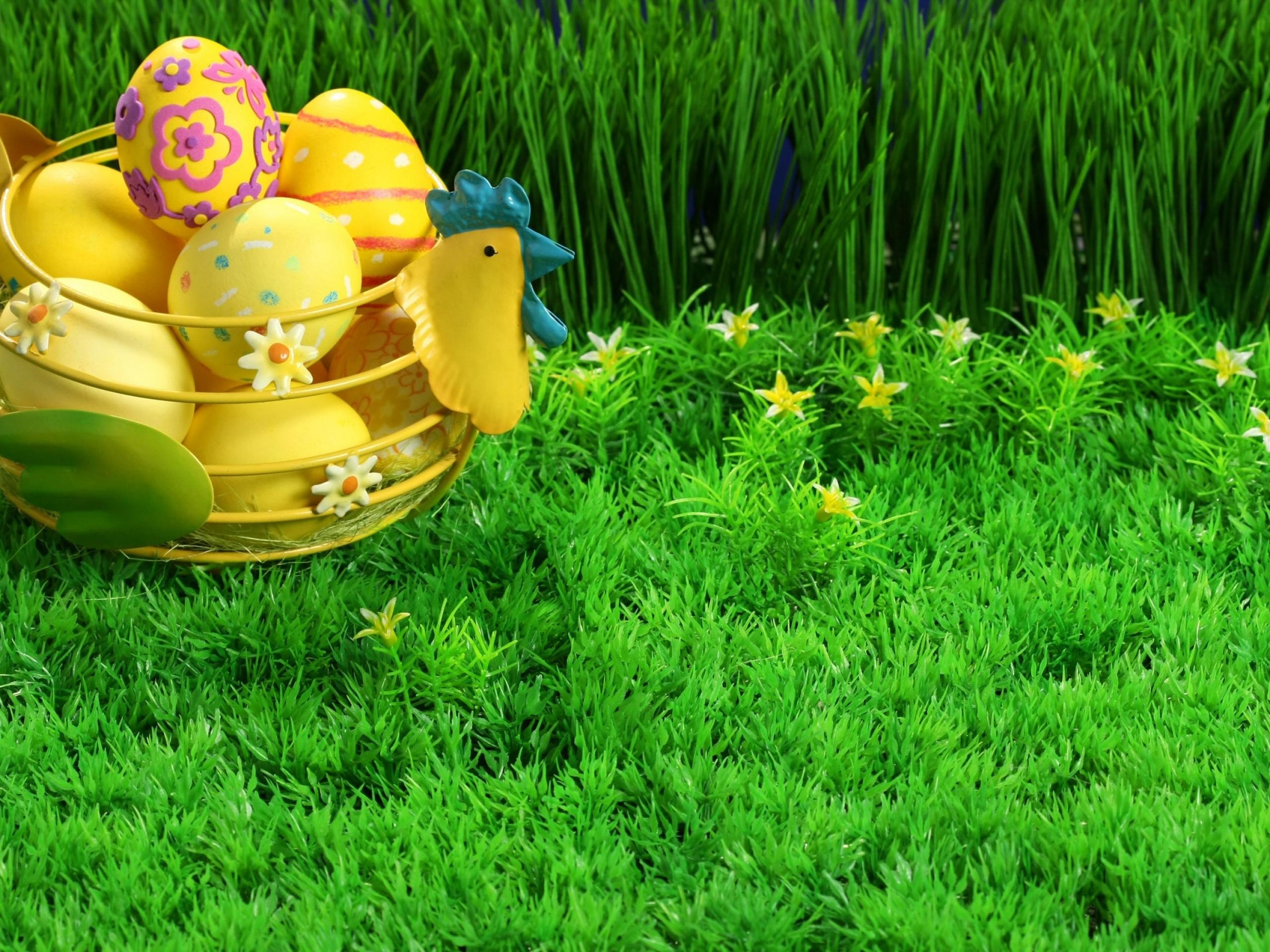 nature, Eggs, Easter, Still, Life Wallpaper