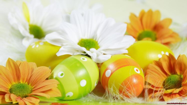 flowers, Easter, Eggs HD Wallpaper Desktop Background