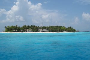 maldives, Islands, Sea, Water, Beaches
