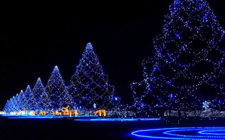 holidays, Christmas, Lights HD Wallpaper Desktop Background