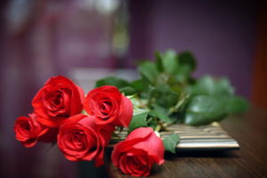 nature, Flowers, Red, Petals, Stems, Roses, Still, Life, Still life, Close, Close up, Macro, Valentine, Holidays