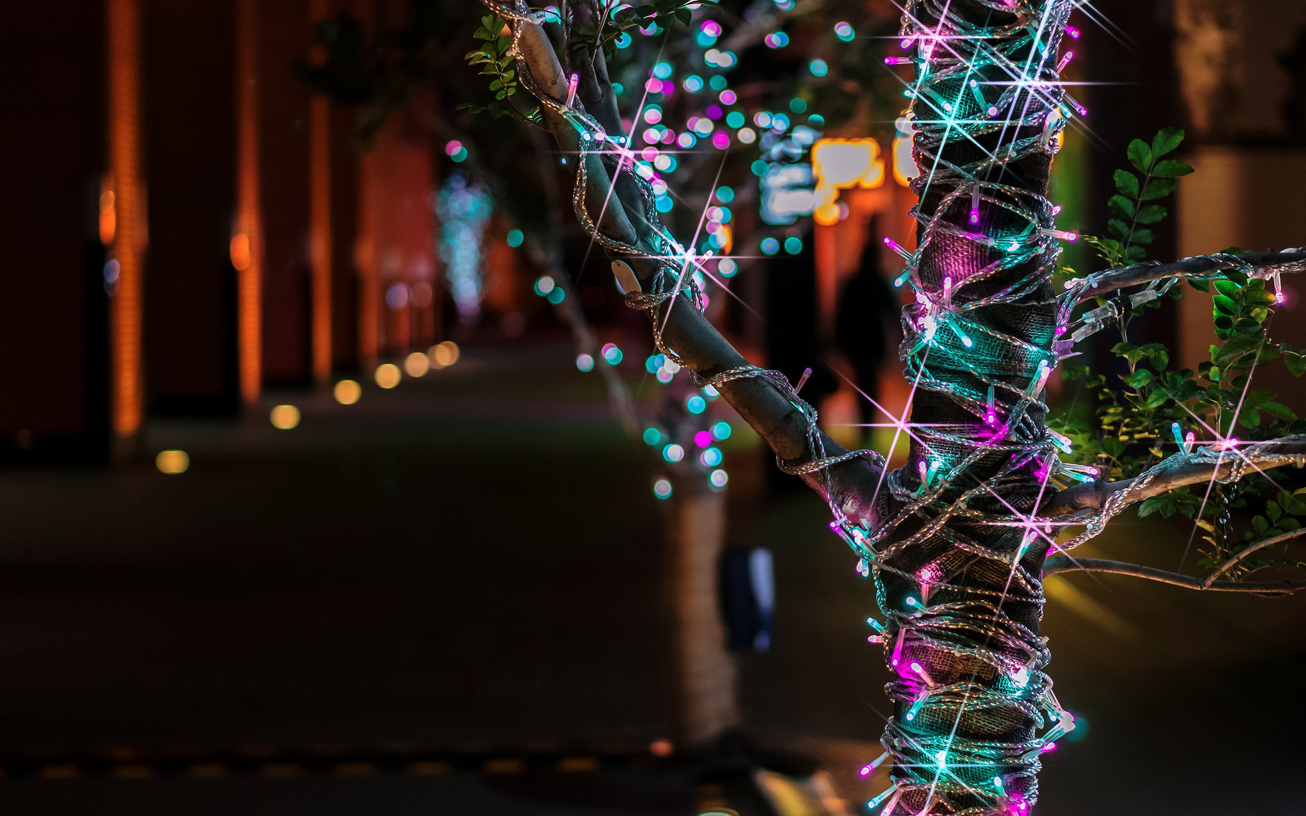 christmas, Tree, Lights, Bokeh Wallpaper