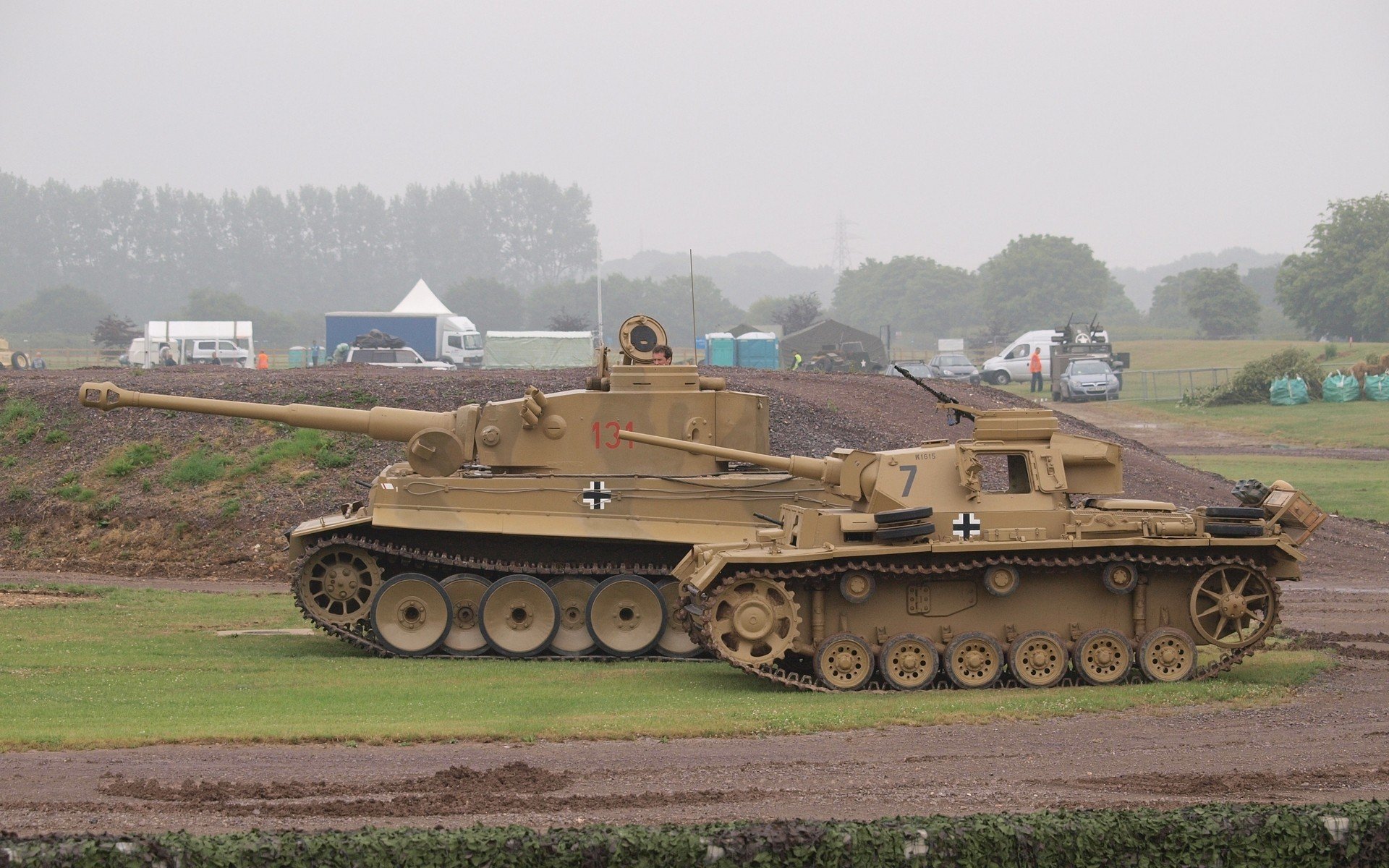 tanks, World, War, Ii, Wehrmacht, Tiger, Lillies, Pzkpfw, V, Pzkpfw, Iii Wallpaper