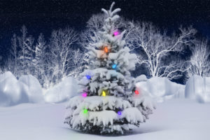 holidays, Christmas, Winter, Snow, Lights, Color, Trees, Seasonal, Stars, Sky