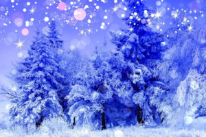 holidays, Christmas, Bokeh, Sparkle, Snowing, Flakes, Nature, Trees, Forest, Winter, Snow, Seasons