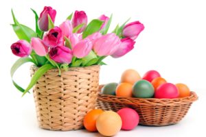 easter, White, Background, Easter, Tulips, Eggs