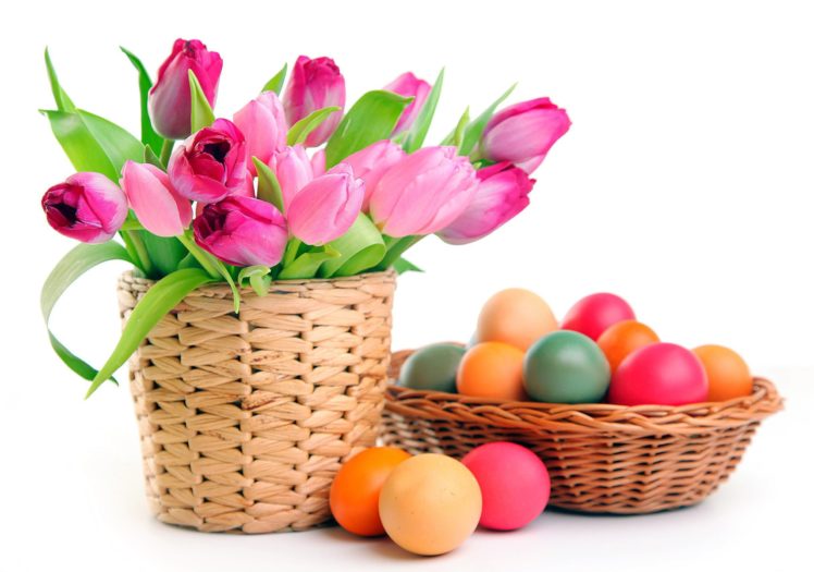 easter, White, Background, Easter, Tulips, Eggs HD Wallpaper Desktop Background