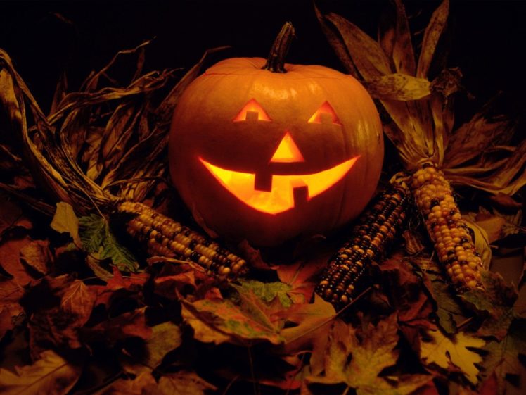 autumn, Halloween, Glow, Pumpkins HD Wallpaper Desktop Background