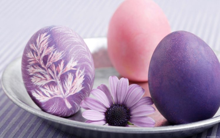 eggs, Flowers, Artwork, Easter, Eggs HD Wallpaper Desktop Background
