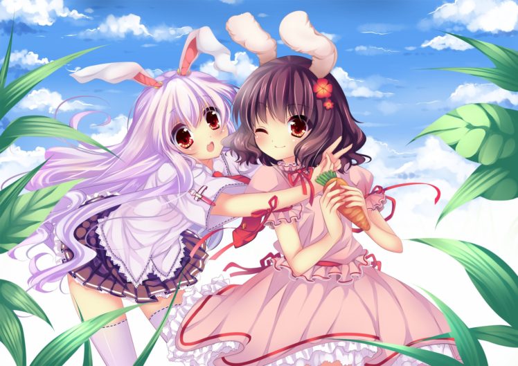video, Games, Touhou, Animal, Ears, Reisen, Udongein, Inaba, Imperishable, Night, Inaba, Tewi HD Wallpaper Desktop Background