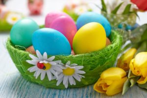 basket, Easter, Tulips, Eggs