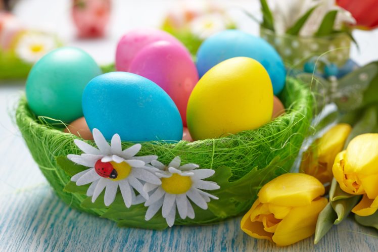 basket, Easter, Tulips, Eggs HD Wallpaper Desktop Background